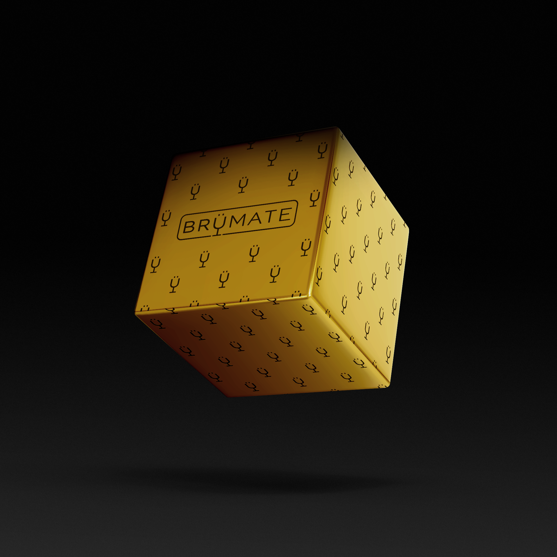 premium-mystery-item-39-70-value-n1 IMG-1548.png